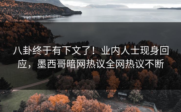 八卦终于有下文了！业内人士现身回应，墨西哥暗网热议全网热议不断