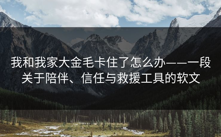 我和我家大金毛卡住了怎么办——一段关于陪伴、信任与救援工具的软文